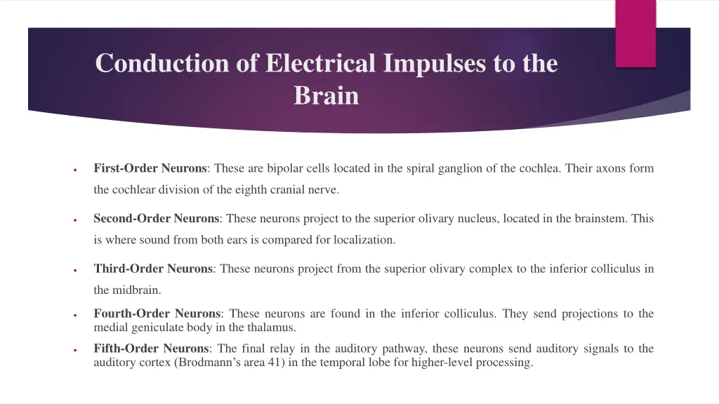 conduction of electrical impulses to the brain