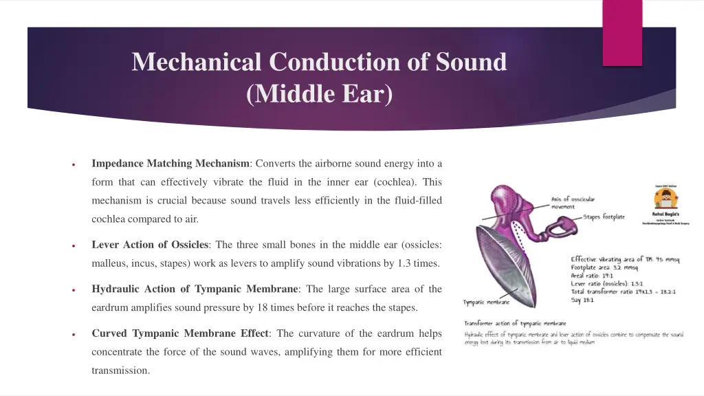 mechanical conduction of sound middle ear 1