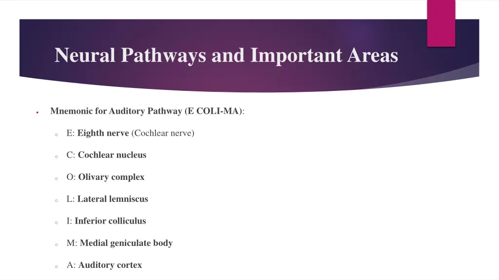 neural pathways and important areas