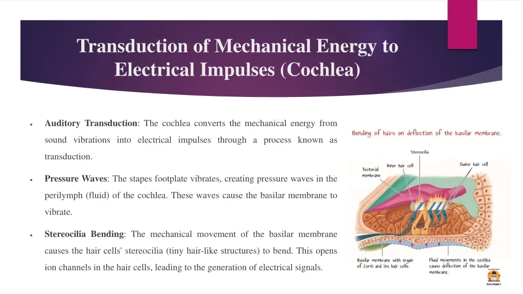 transduction of mechanical energy to electrical