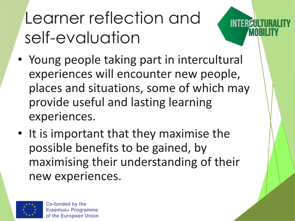 learner reflection and self evaluation young