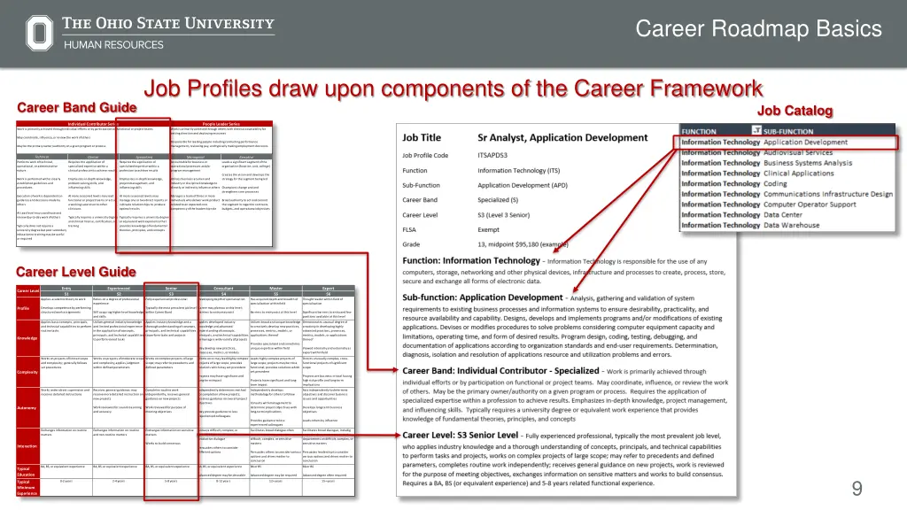 career roadmap basics