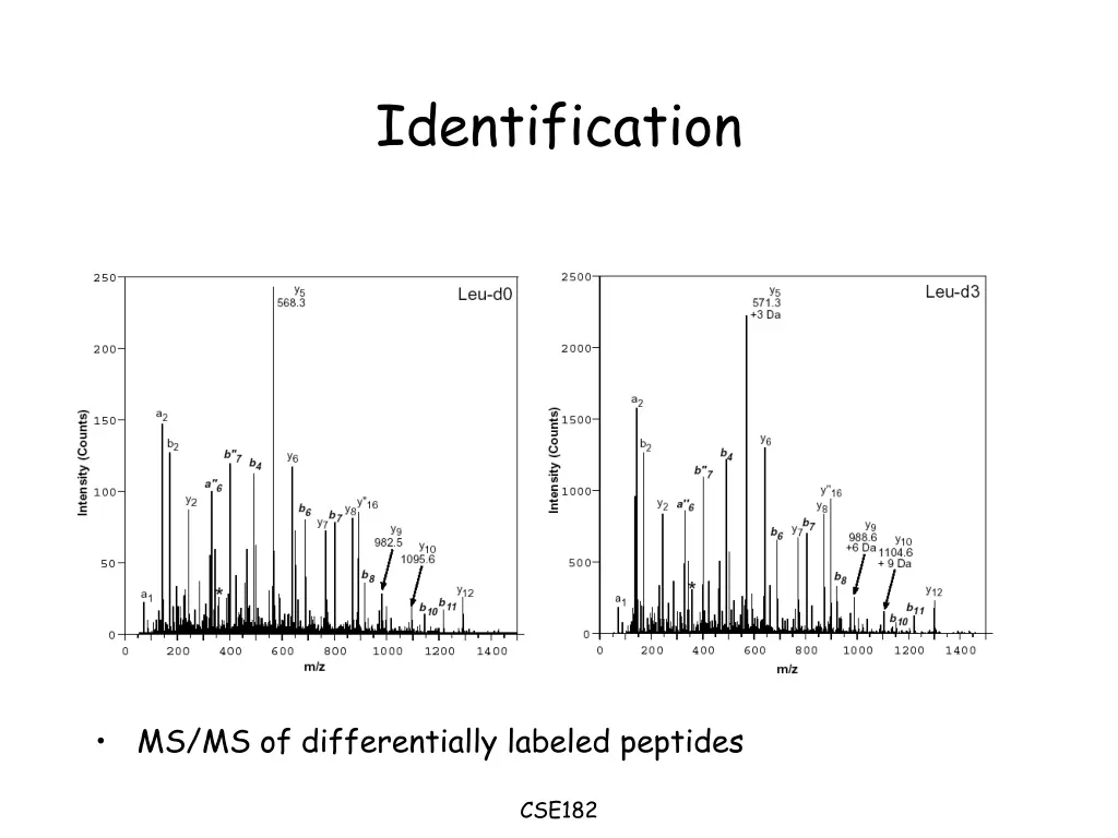 identification