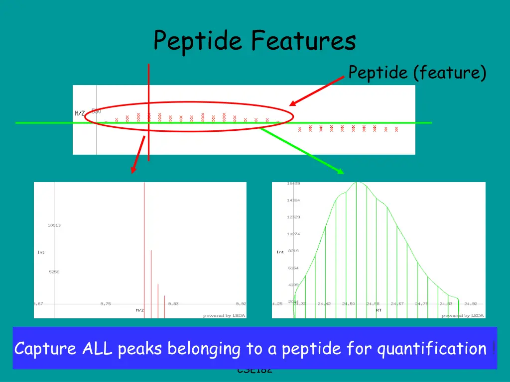 peptide features