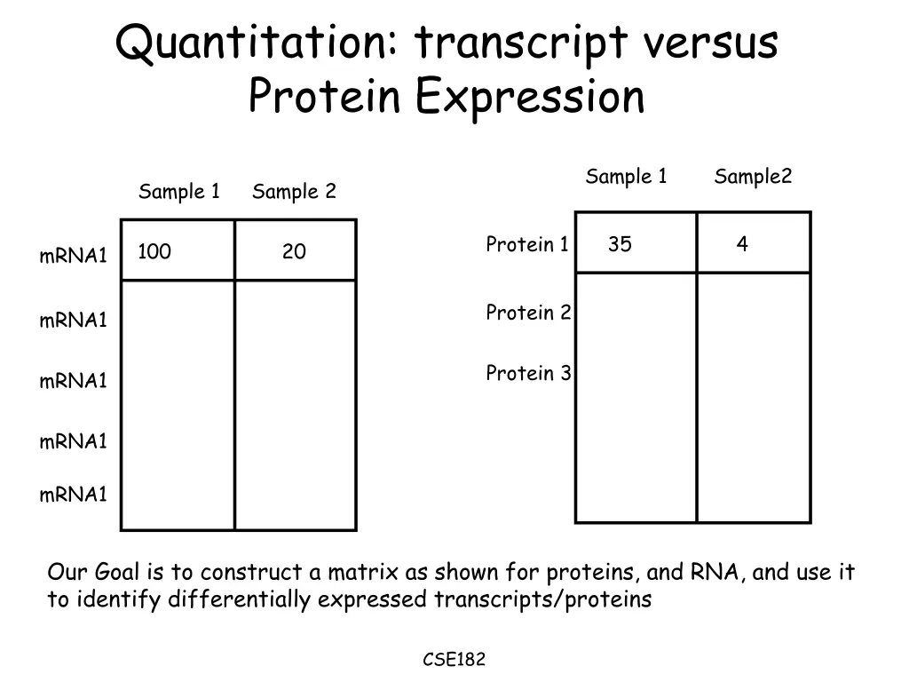 quantitation transcript versus protein expression