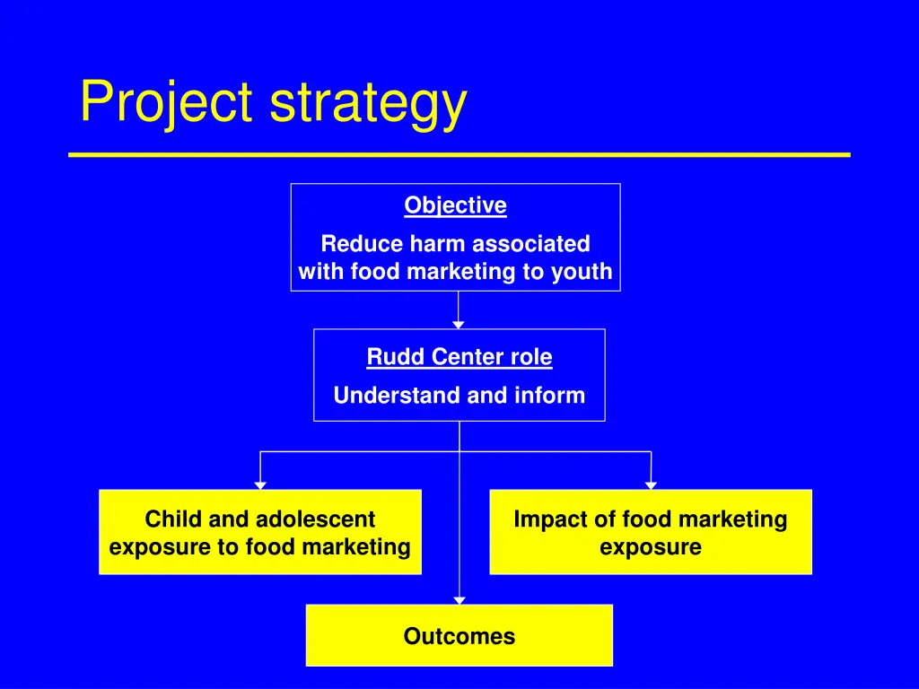 project strategy