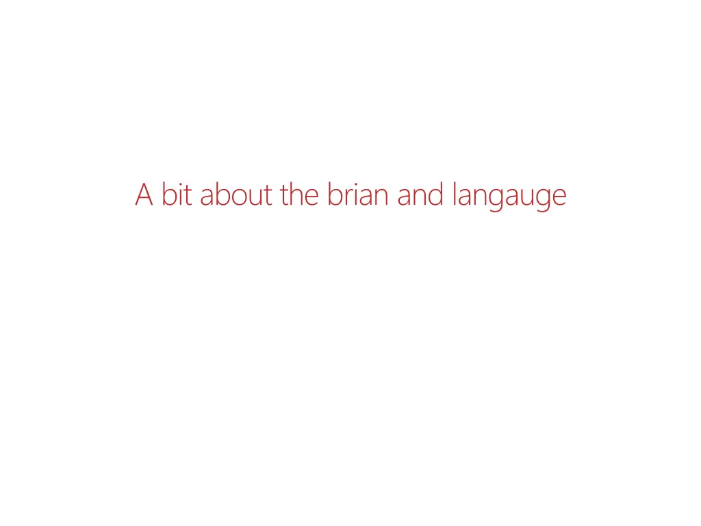 a bit about the brian and langauge