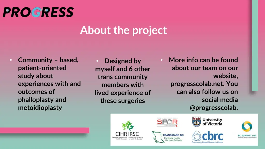 about the project