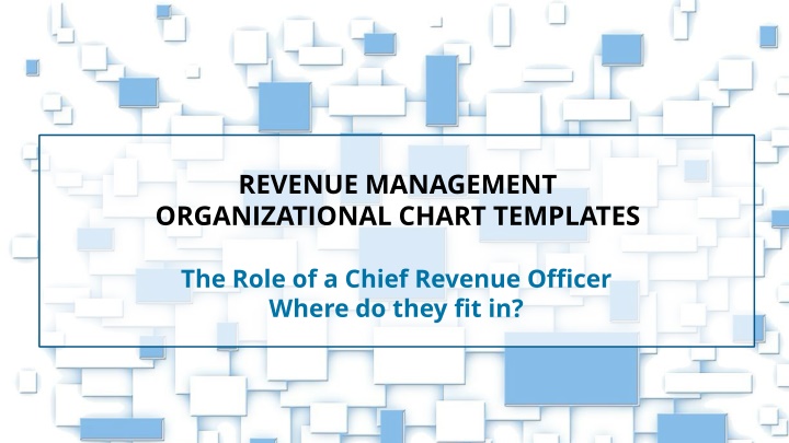revenue management organizational chart templates