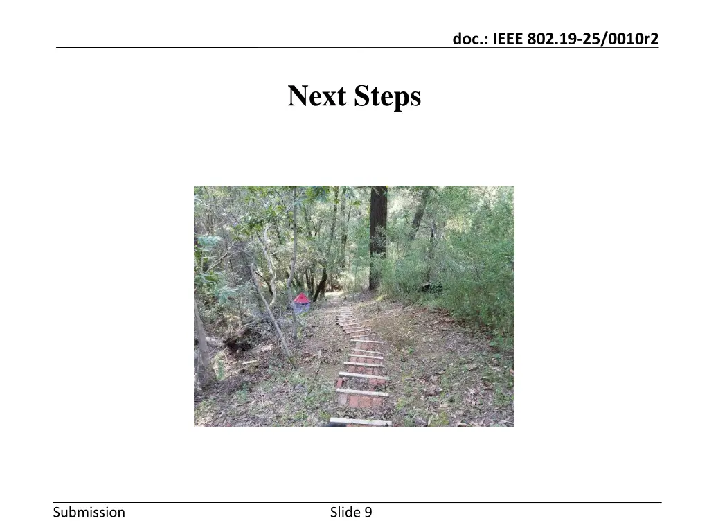 doc ieee 802 19 25 0010r2 1