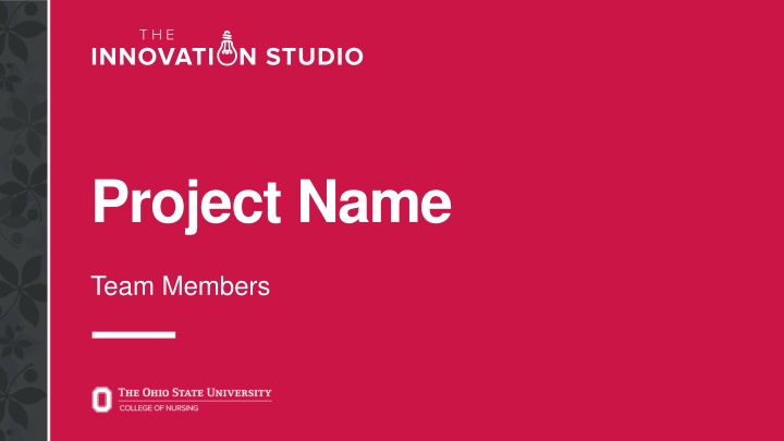 project name