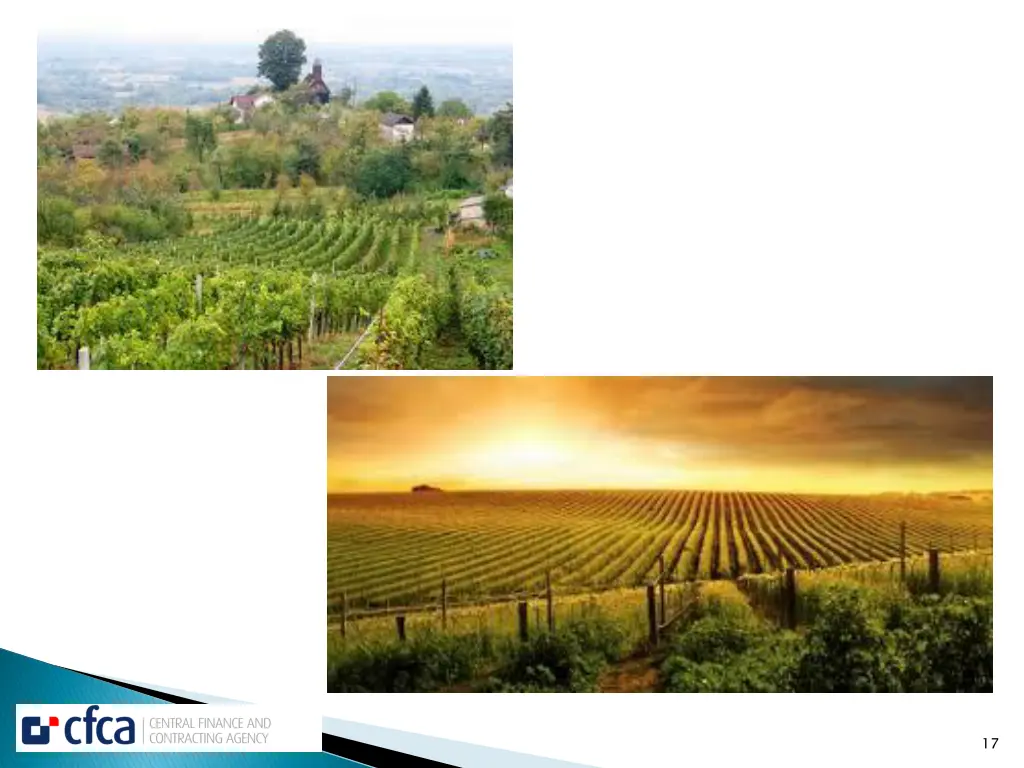 slide17