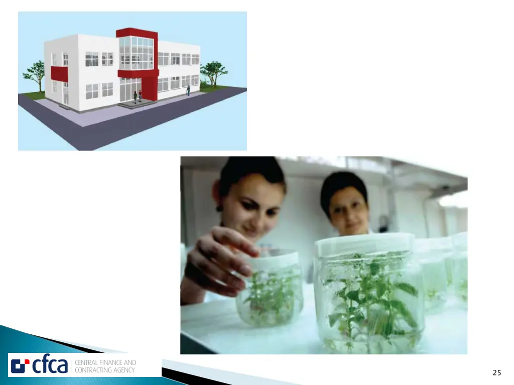 slide25