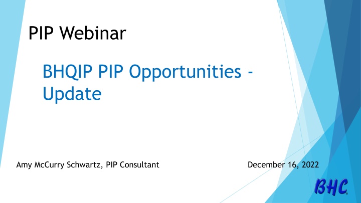 pip webinar