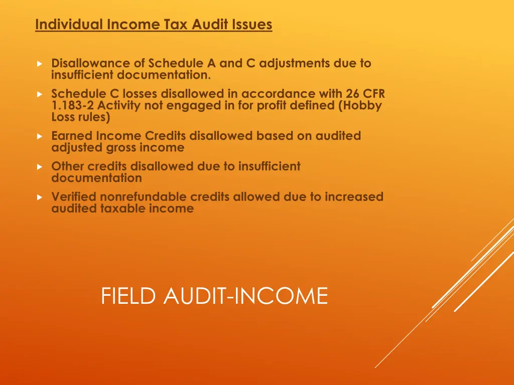 individual income tax audit issues