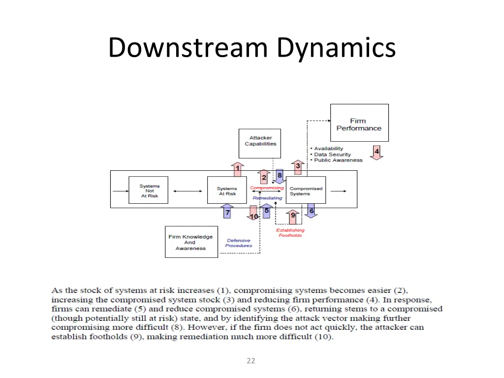 downstream dynamics