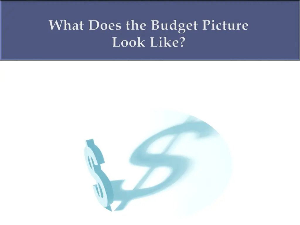 what does the budget picture look like