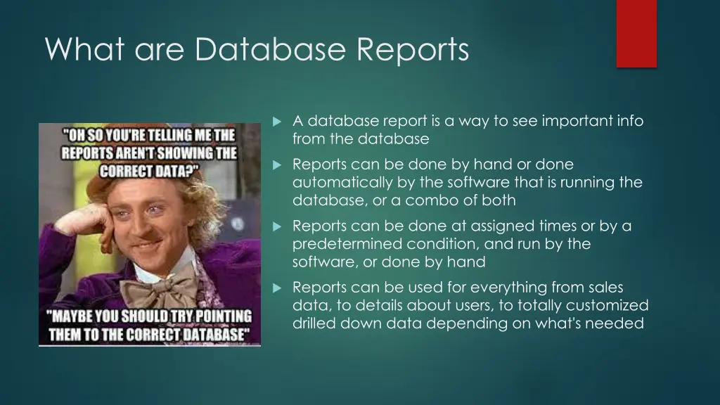 what are database reports