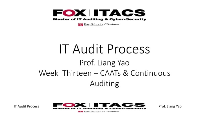 it audit process prof liang yao week thirteen