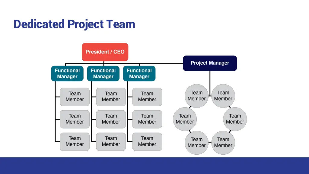 dedicated project team