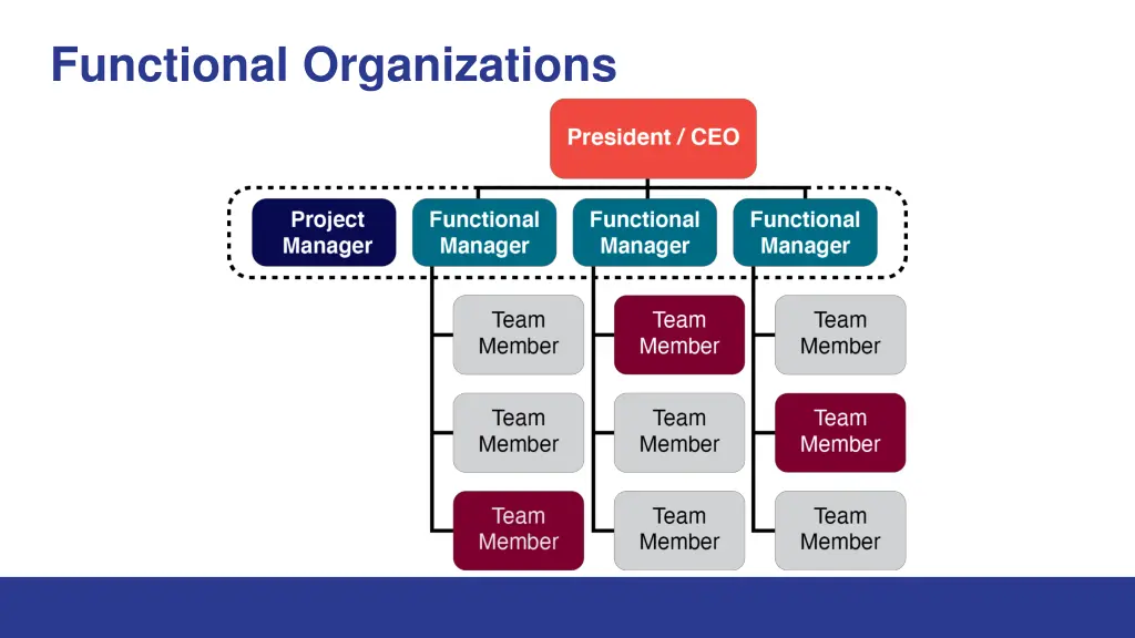 functional organizations 1