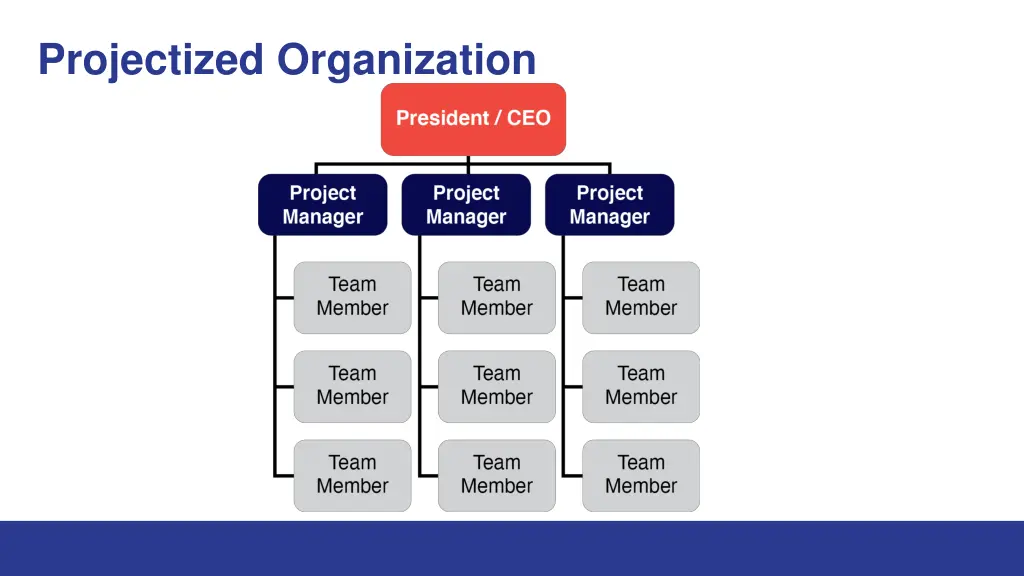 projectized organization
