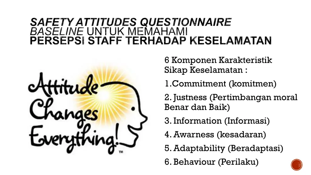 safety attitudes questionnaire baseline untuk