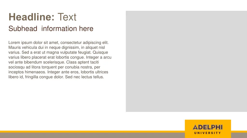 headline text subhead information here 1