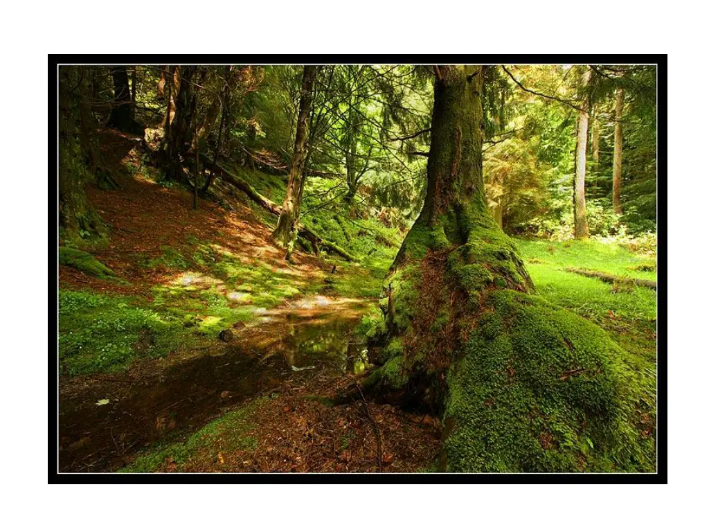 slide21