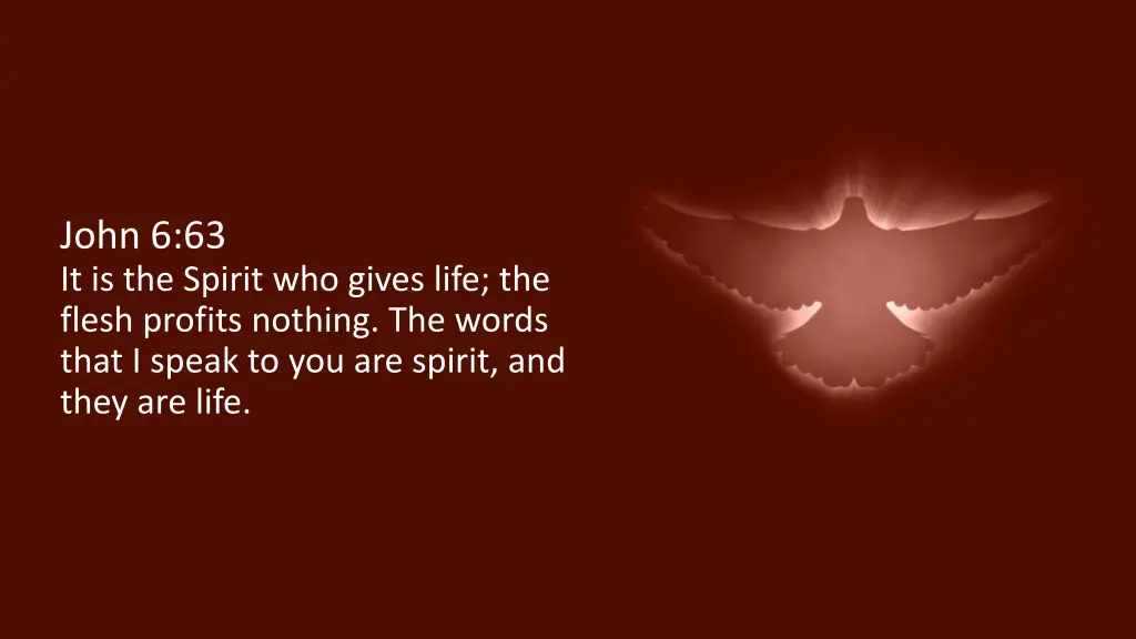 john 6 63 it is the spirit who gives life