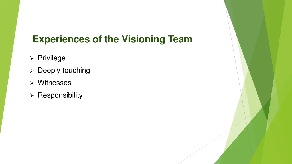experiences of the visioning team