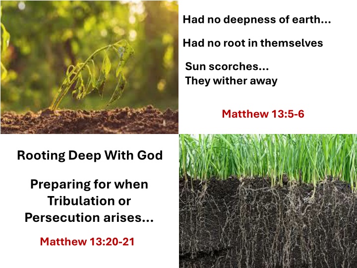 had no deepness of earth