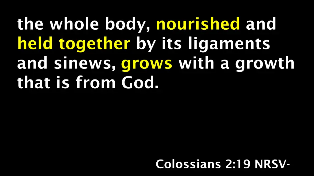the whole body nourished and held together