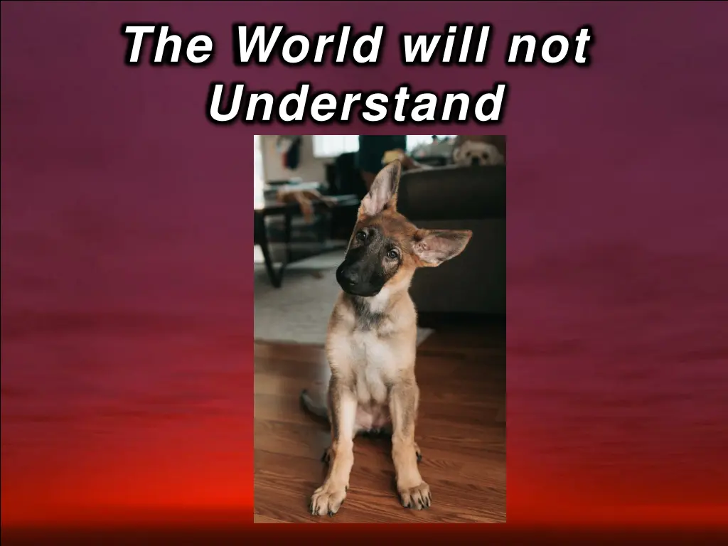 the world will not understand 3