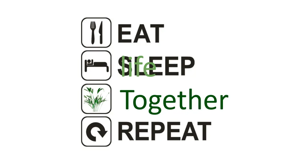 life together 1
