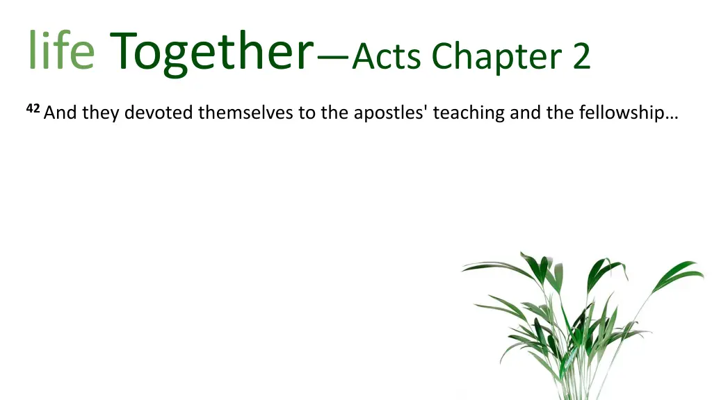 life together acts chapter 2 2