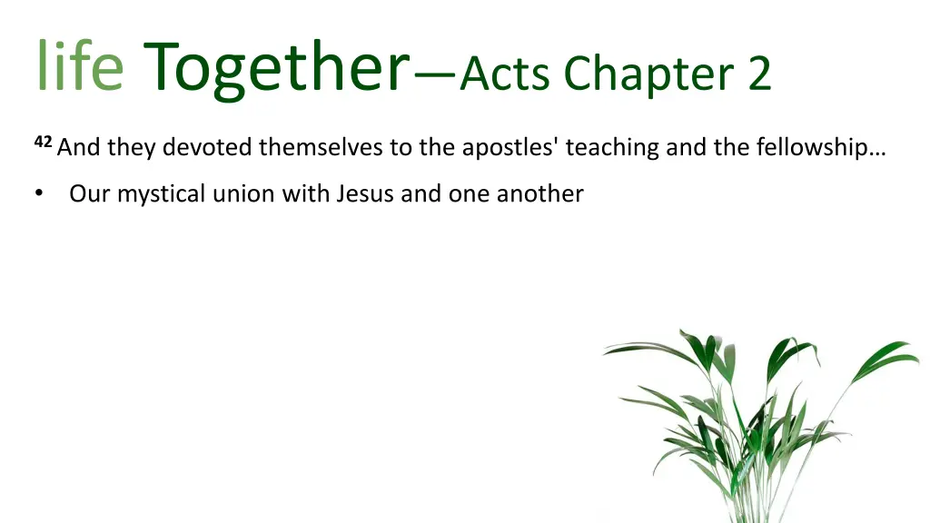 life together acts chapter 2 3