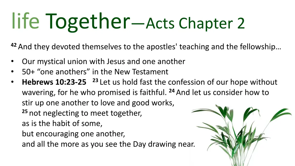 life together acts chapter 2 5