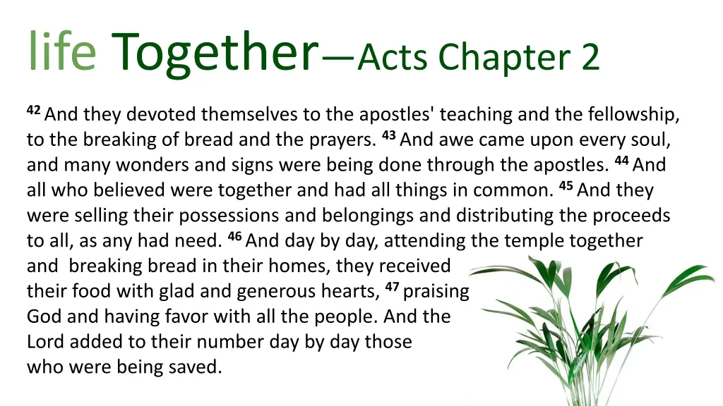 life together acts chapter 2
