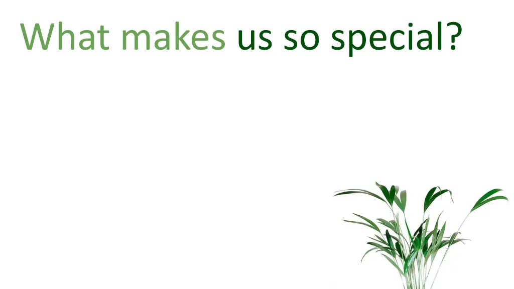 what makes us so special