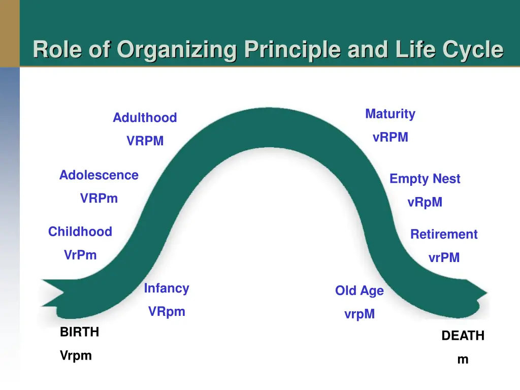 role of organizing principle and life cycle