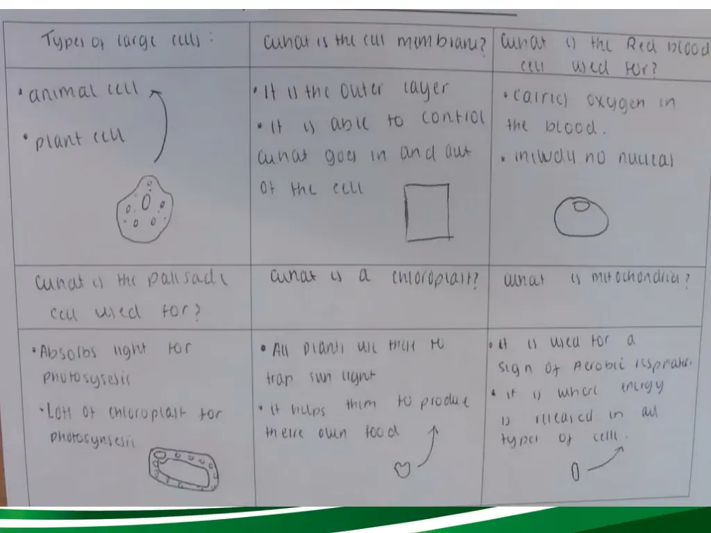 slide12
