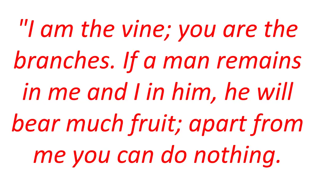 i am the vine you are the branches