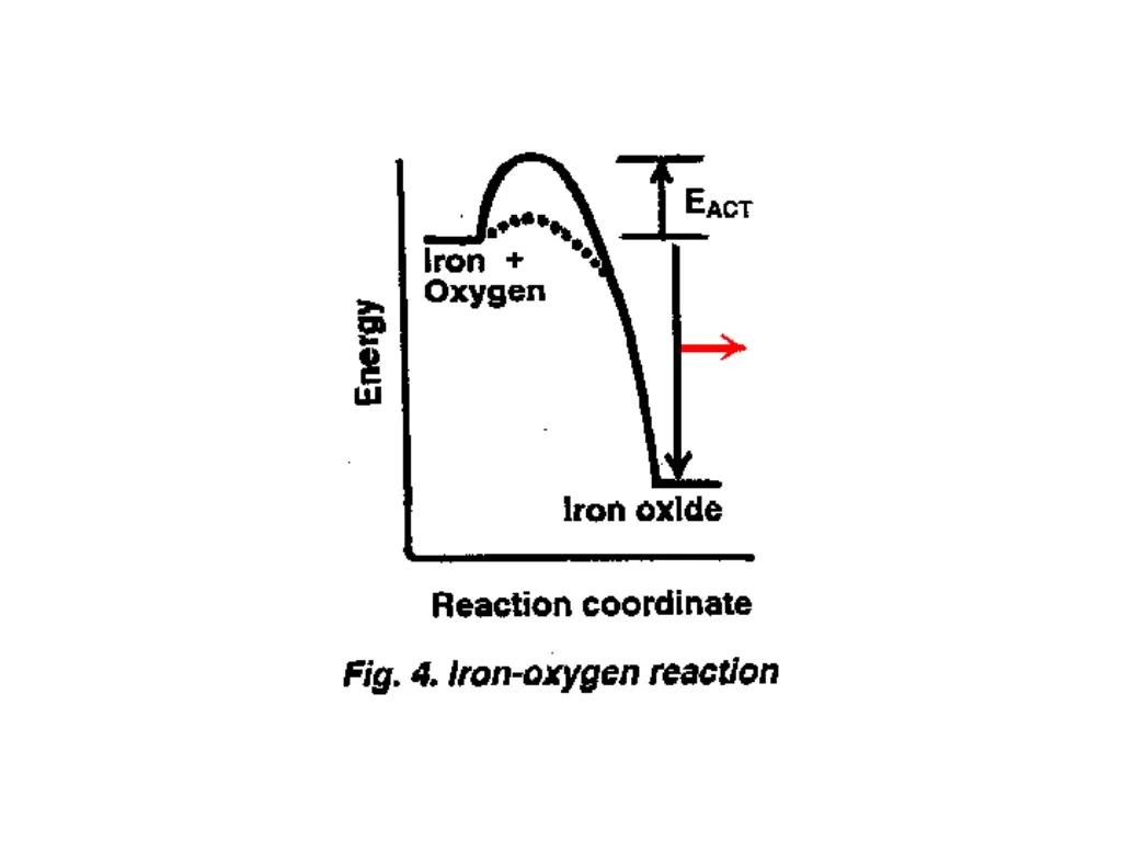 slide7