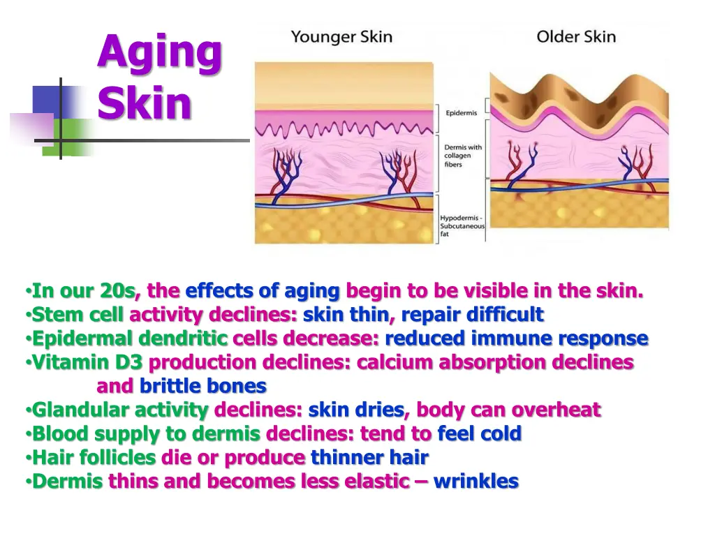 aging skin