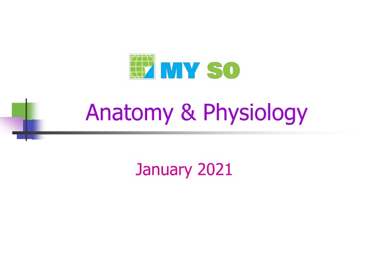anatomy physiology