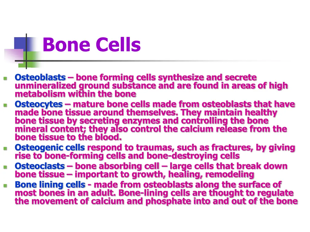 bone cells