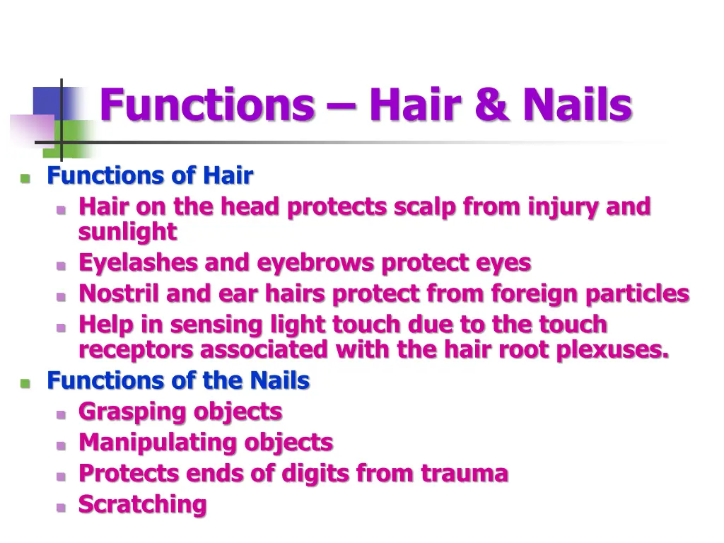 functions hair nails