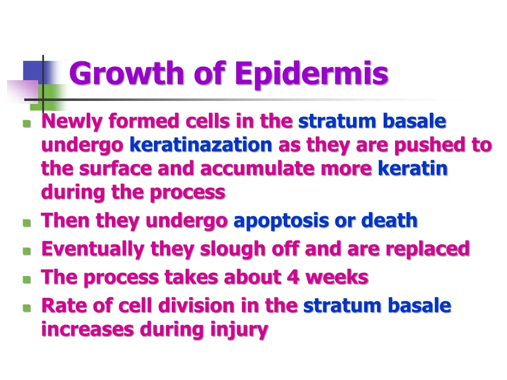 growth of epidermis