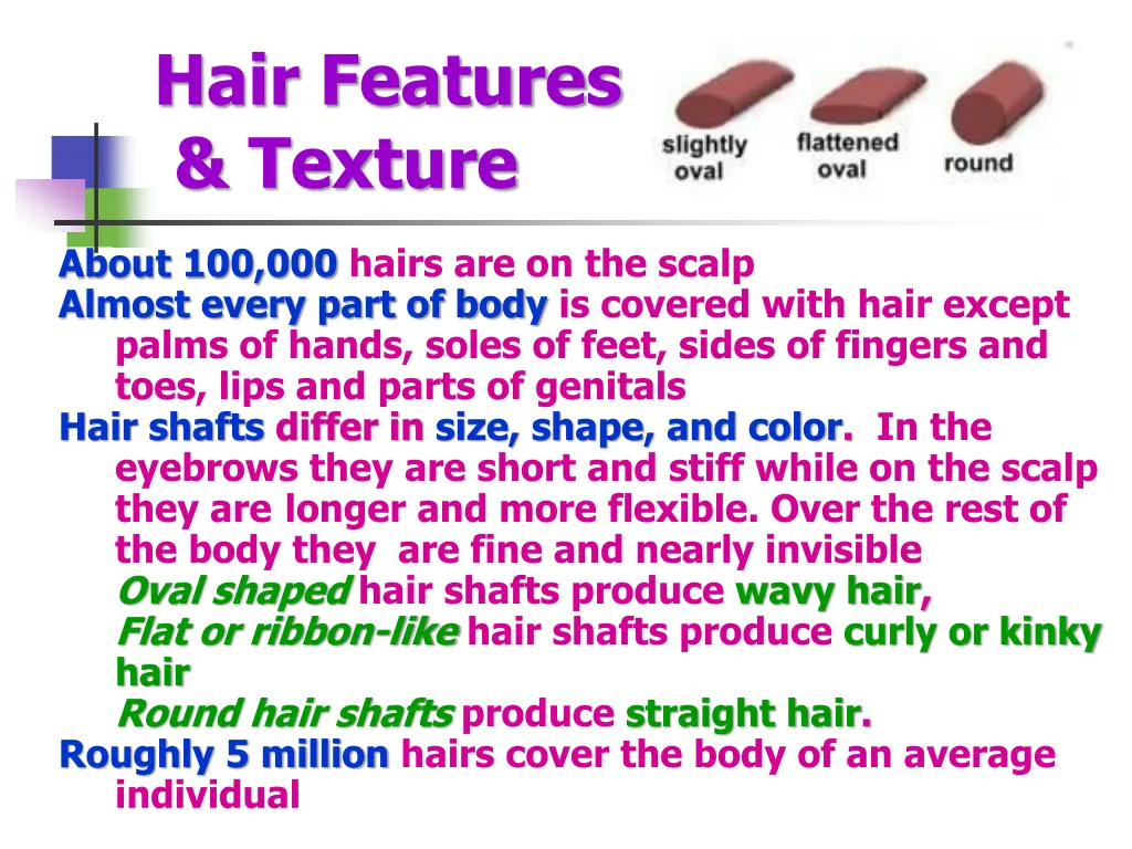 hair features texture